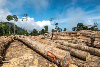 The Connection Between Human Survival and the Environment